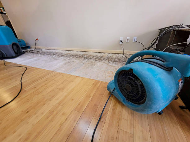 Professional Flood Damage Cleanup technician working in Marion, MA